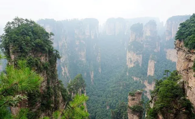 张家界主要有几个景区？张家界有哪些好玩的景点？