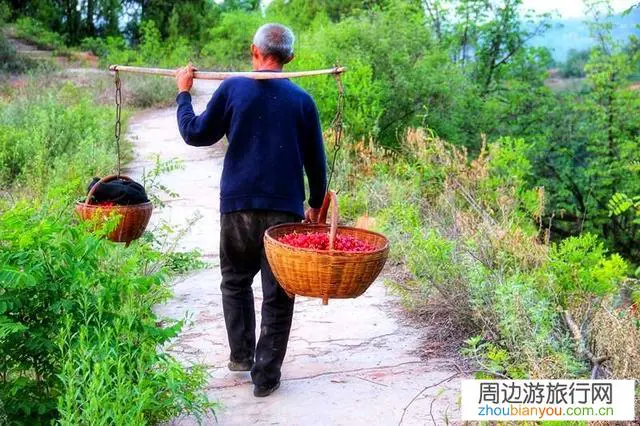 口罩面前,有人说农村现在才是最好的“避难所”,事实是这样吗?