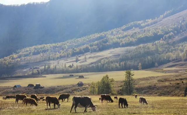 几个朋友旅游，出发了才知道有一个没钱的还不提前说，旅途中屡屡借钱，你们会怎么做？