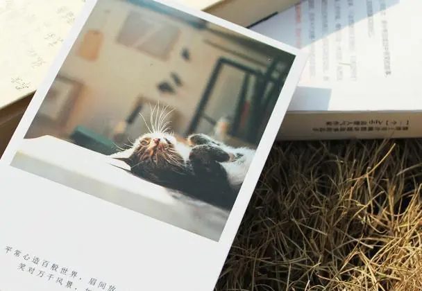 男生约女生旅游，什么方式比较好？