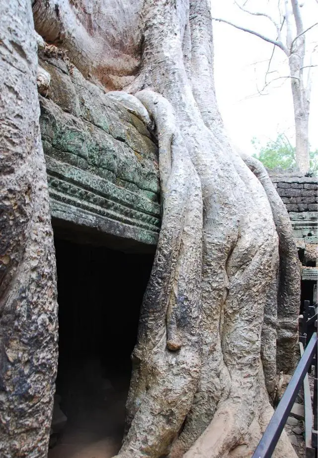 柬埔寨有什么独特的景点值得一去？