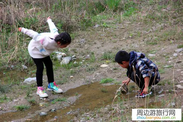 带孩子避暑去哪里最好？