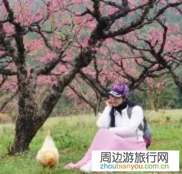 旅行的意义是什么？