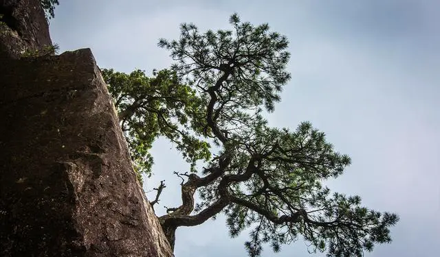 浙江丽水的风景怎么样？