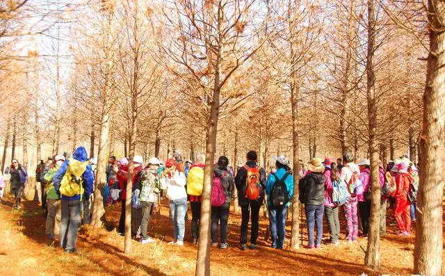 你喜欢什么运动？为什么？