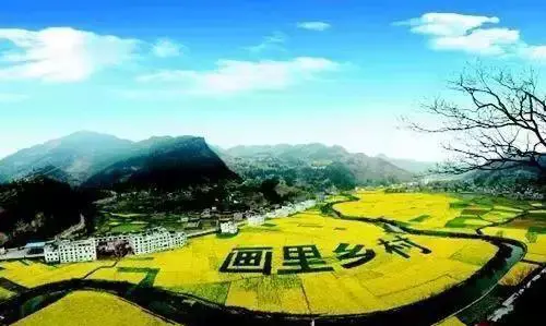 如何规划休闲农业和乡村旅游项目？