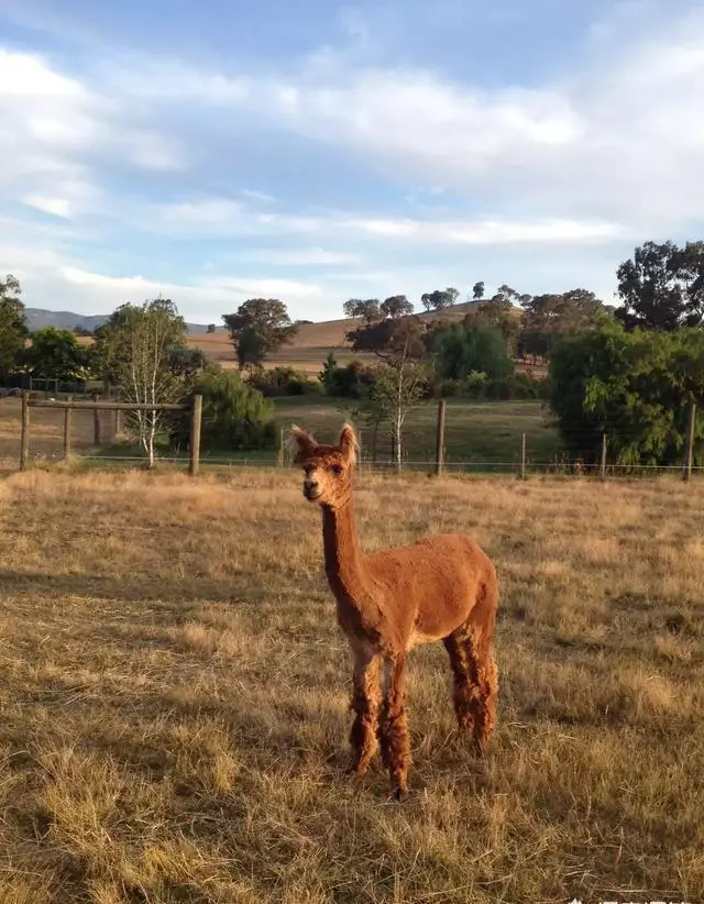 澳大利亚有哪些适合游玩的景点？