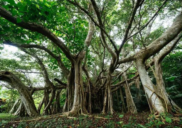 我和老伴退休金每月两万多，可以全国自驾游吗？