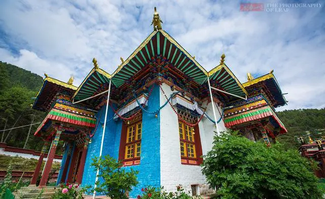 到林芝自驾游有哪些不错的景点？