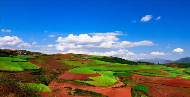 9天从贵阳自驾云南普者黑及周边游玩,线路怎么安排,谢谢?