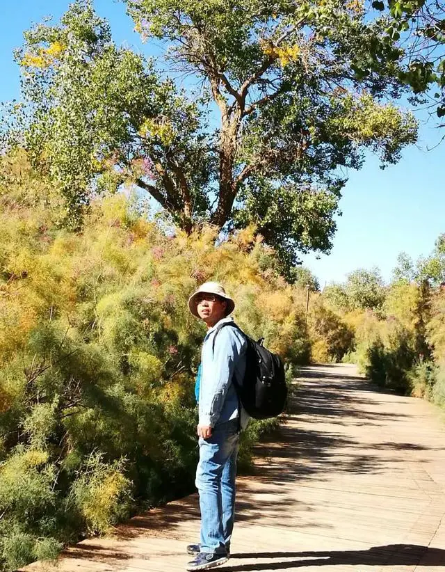 去额济纳胡杨林旅游，让你最接受不了的是什么？