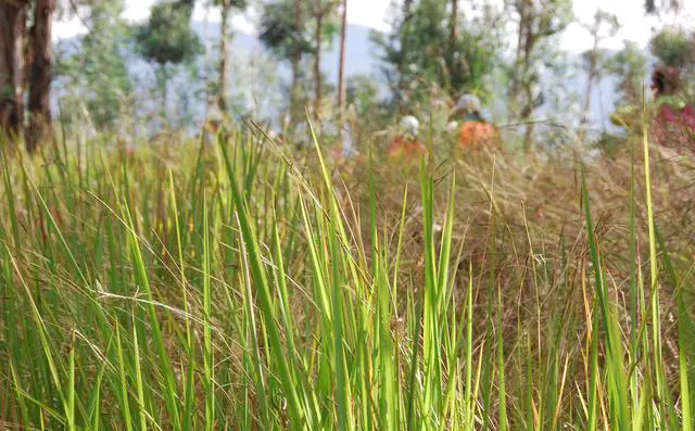 你们会坚持在工作、学习闲暇之余做自己喜欢做的事吗？