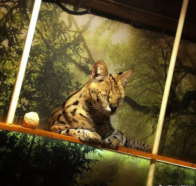 潮流一点的游北京该去哪儿?