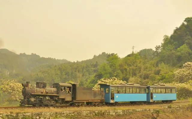 乐山你最喜欢去哪些地方?