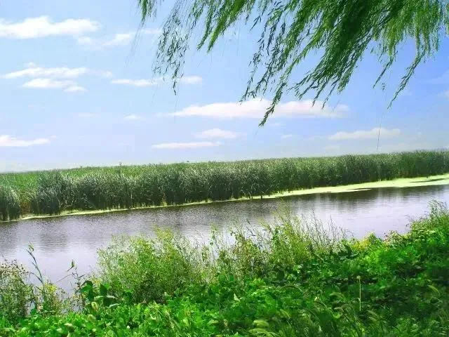 天津周末周边游目的地，周末必须安排！