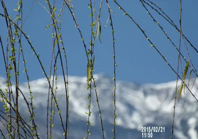 去云南省自驾游有高原反应吗？