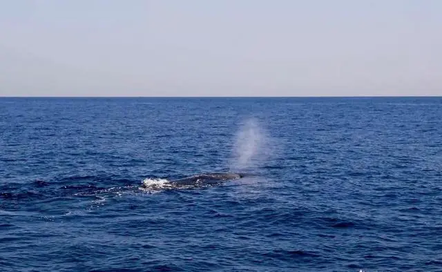 花莲旅游怎么样？