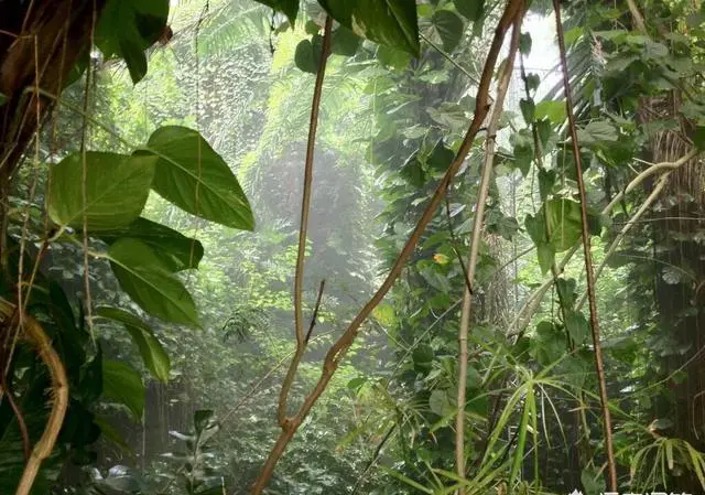 美国有个神秘的“生物圈2号”基地，去旅游能参观吗？