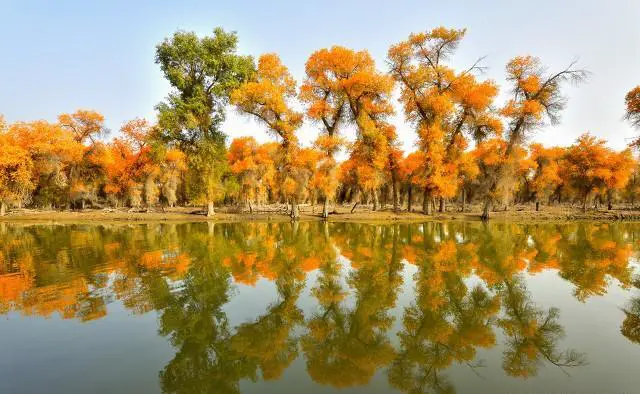 为什么有些去新疆的旅行社行程很少有南疆的景点？