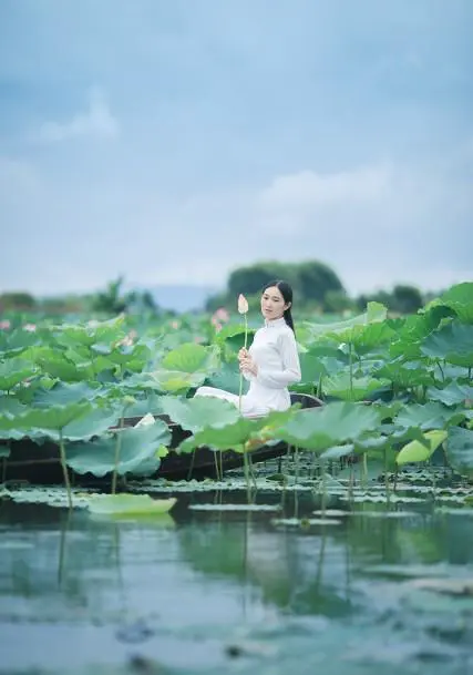 周末想去散心，保定周边有什么不错的地方推荐？