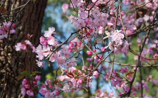 你所知的头条上的文章，最高推荐量能达到多少？