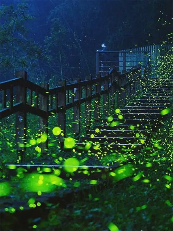 夏天,你感觉哪里的夜景最美,最值得一去?