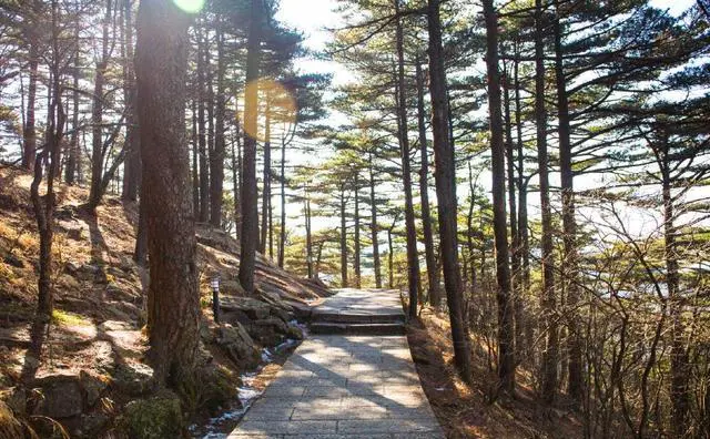 黄山最适合过年去旅行的地方是哪?