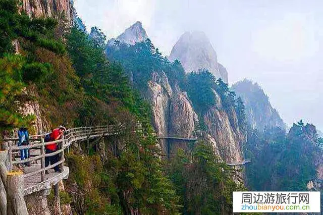 洛阳栾川老君山和嵩县白云山哪个景色好一点儿？哪个更适合旅游？