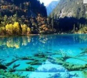 现在去九寨沟旅游需要预约吗？