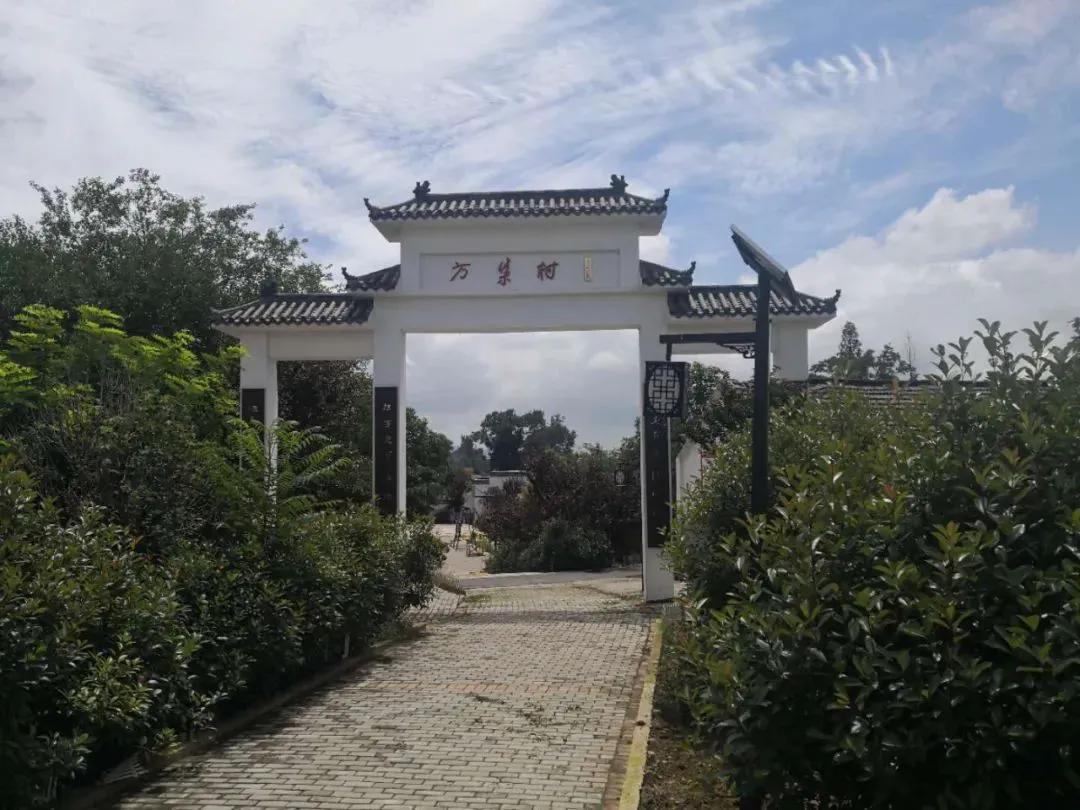 端午假期“拍了拍你”：合肥周边游，走起！