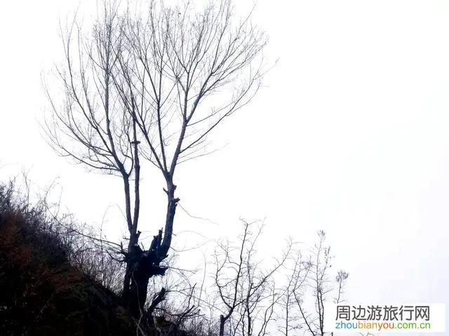 现在是特殊情况，你们想去哪游玩？