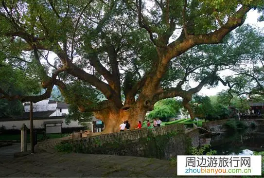 请问五一一家三口去江西婺源玩五天，如何安排？