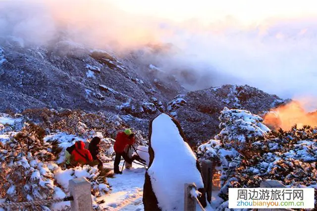 最近想去爬山，请问华山，泰山，峨眉山和黄山哪个值得去？