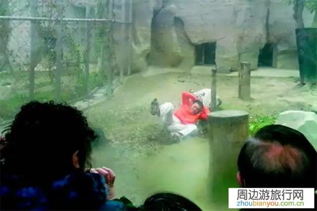 在景区发生人身财产损害，景区有责任吗？