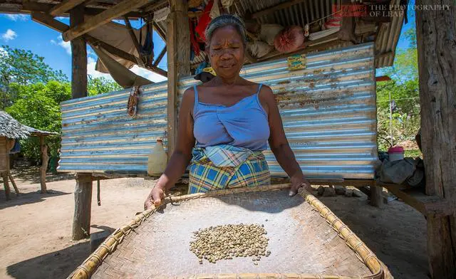 你会选择去菲律宾旅游吗？