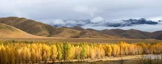 稻城亚丁旅游攻略自由行攻略