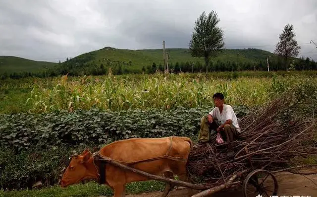 想去朝鲜旅游,需要什么条件?