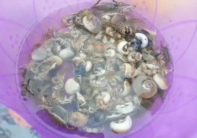 有哪些不错的海岛旅游推荐，最好实惠点的，类似马尔代夫普吉岛之类的？