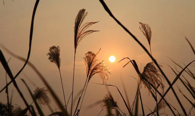 杭州西溪湿地好玩吗？