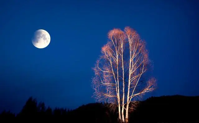 自驾出门旅行，你觉得最烦心的事是什么？