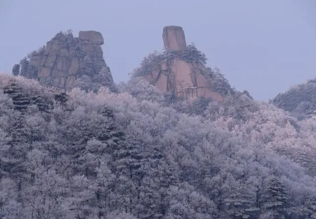 河南最高峰老鸦岔垴风景介绍