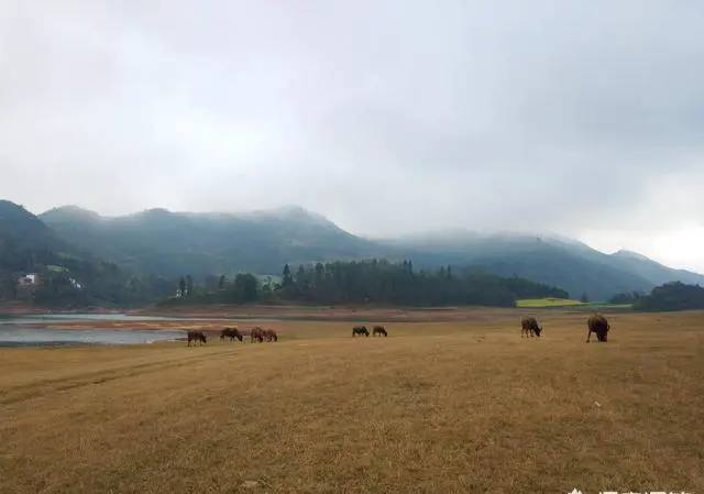 你们会在不同的季节里出去欣赏不同的风景吗？