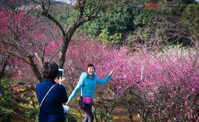 春节杭州周边好玩的旅游景点推荐