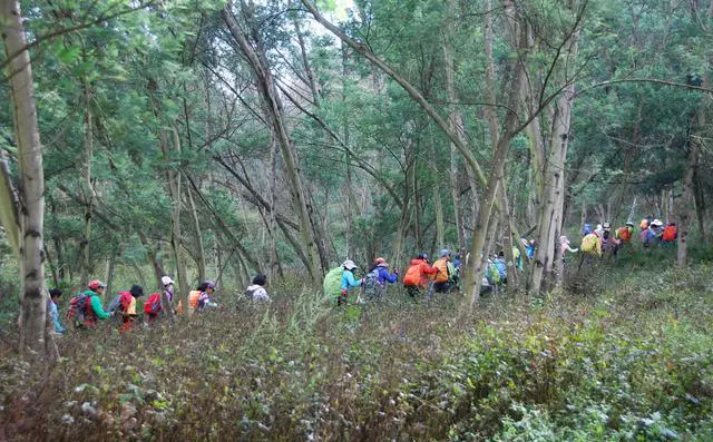 你们会坚持在工作、学习闲暇之余做自己喜欢做的事吗？