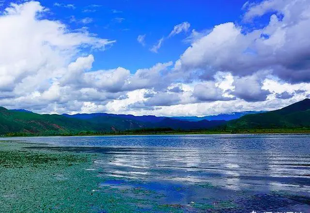 2021年你计划到哪里去旅游？