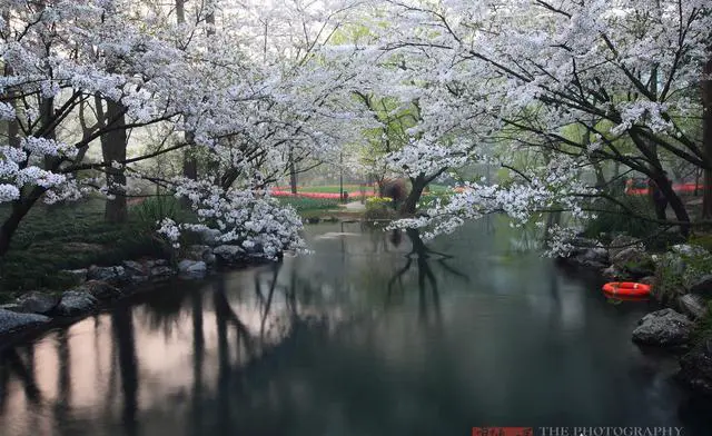 什么时候去杭州旅游最好？