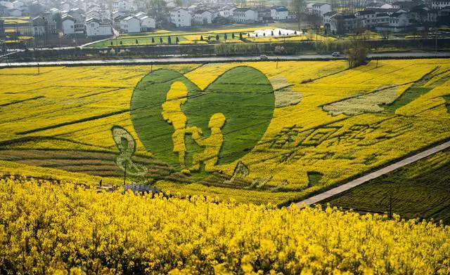 中国哪里有花海?国内花海旅游景点