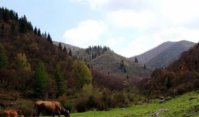 你去兰州旅行过吗？