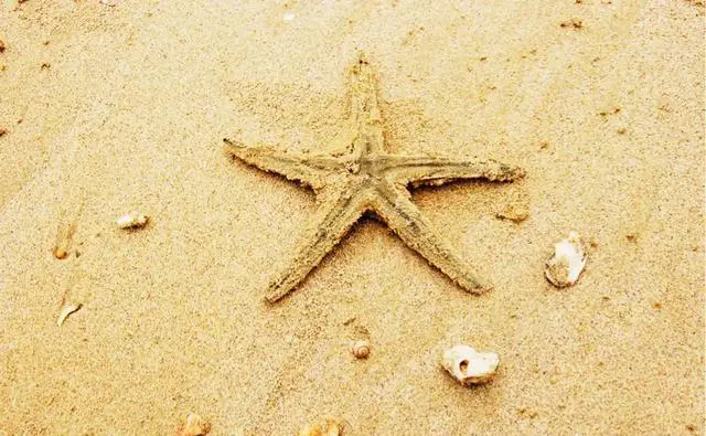 这个季节去哪里旅游好?