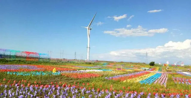 你觉得张北草原的魅力在哪里？